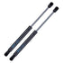 Midwest Aftermarket truck accessories - Upgrade Your Ride with Westin EXP Truck Cap Gas Strut