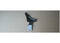 Sherman Parts RH Trunk Gutter Side Brace Nova 71-72 | 780-74WR