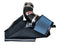 Injen Black SP Short Ram Intake System | SP3010BLK