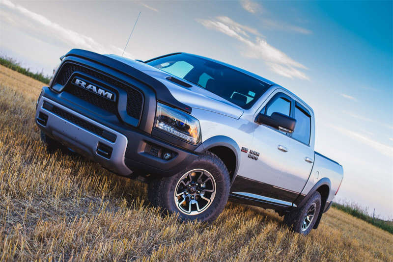 EGREGR 09 - 13 Dodge Ram Pickup Superguard Hood Shield - Matte (302655)