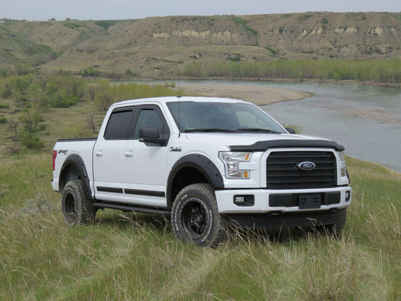 EGREGR 15+ Ford F150 Superguard Hood Shield - Matte (303475)