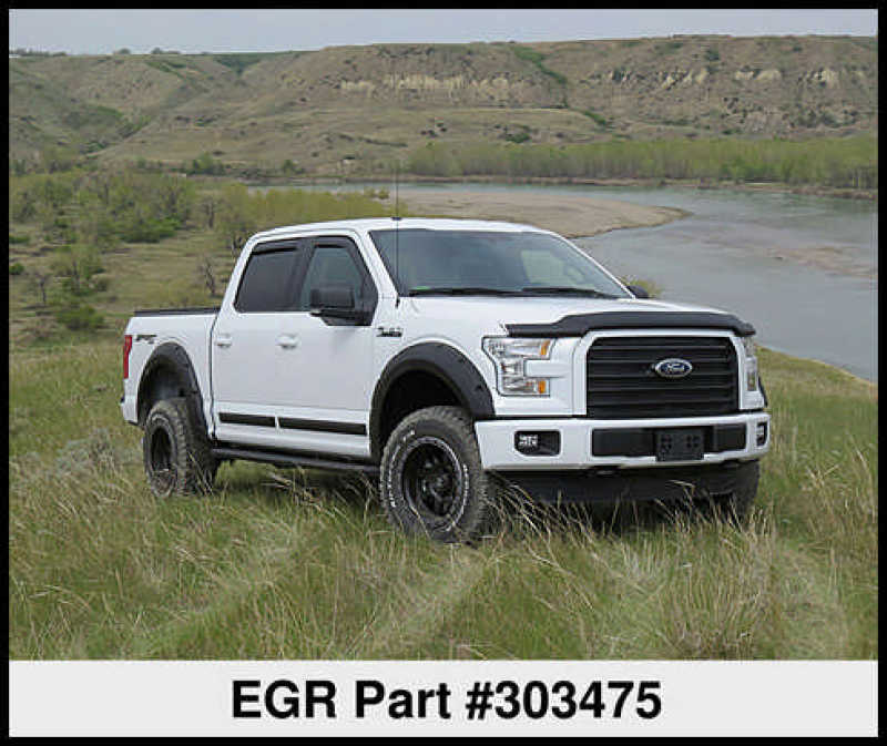 EGREGR 15+ Ford F150 Superguard Hood Shield - Matte (303475)
