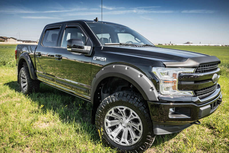 EGREGR 15+ Ford F150 Superguard Hood Shield - Matte (303475)