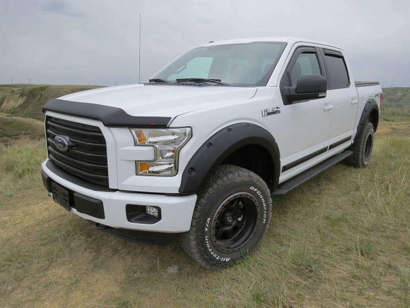 EGREGR 15+ Ford F150 Superguard Hood Shield - Matte (303475)