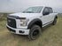EGREGR 15+ Ford F150 Superguard Hood Shield - Matte (303475)