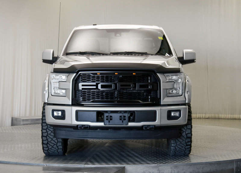 EGREGR 15+ Ford F150 Superguard Hood Shield - Matte (303475)
