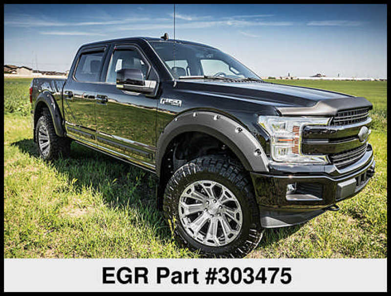EGREGR 15+ Ford F150 Superguard Hood Shield - Matte (303475)