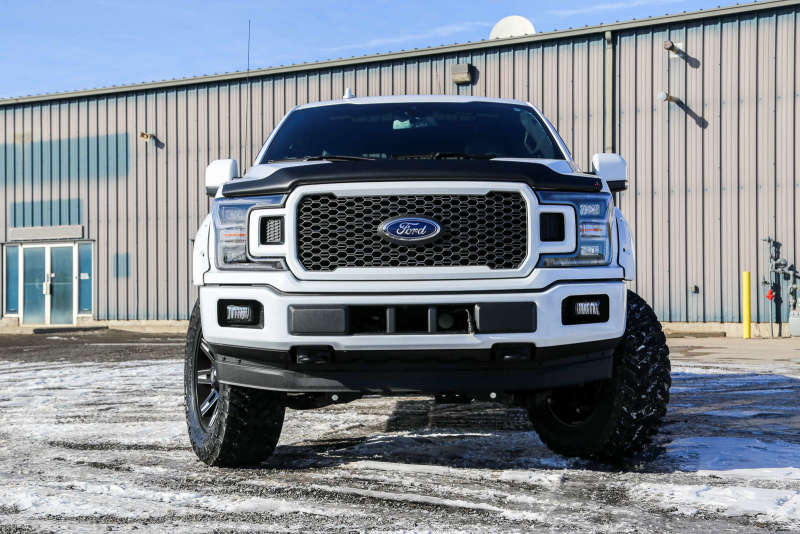 EGREGR 15+ Ford F150 Superguard Hood Shield - Matte (303475)