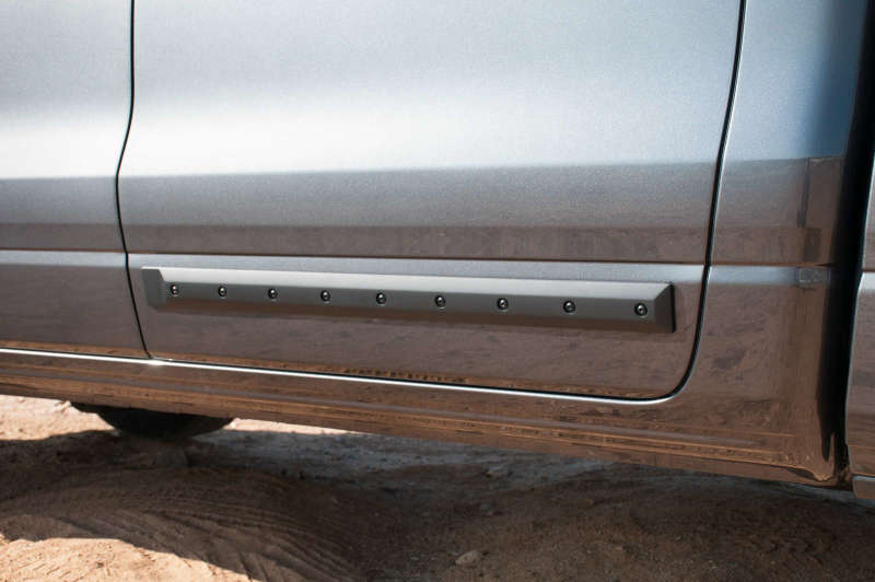 EGREGR Crew Cab Front 41.5in Rear 38in Bolt - On Look Body Side Moldings (991674)