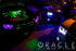 ORACLE LightingOracle Engine Bay 5050 SMD Kit - RGB ColorSHIFT