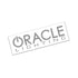 Oracle Lighting8069 - 504 - ORACLE Lighting Decal 12in. - Reflected Silver