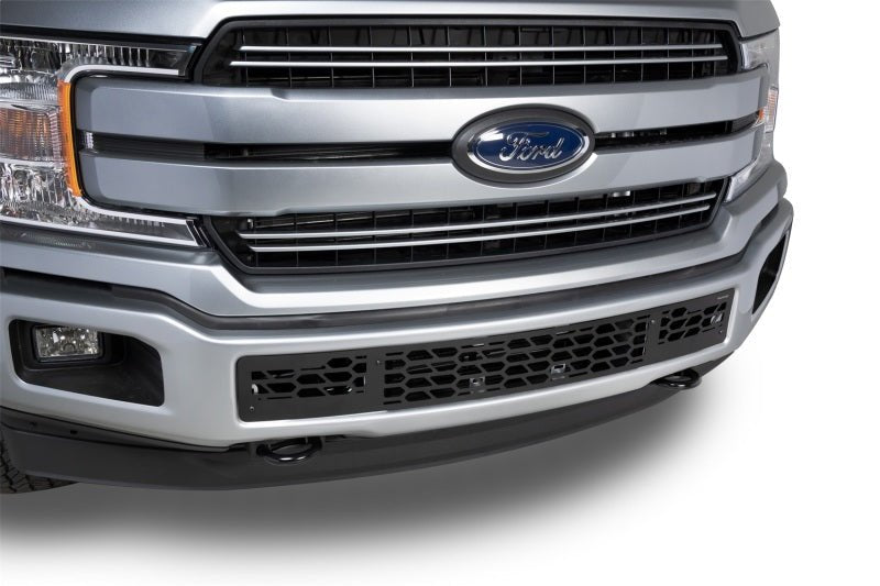 PutcoPutco 18 - 20 Ford F - 150 - Hex Shield - Black Powder Coated Bumper Grille Inserts