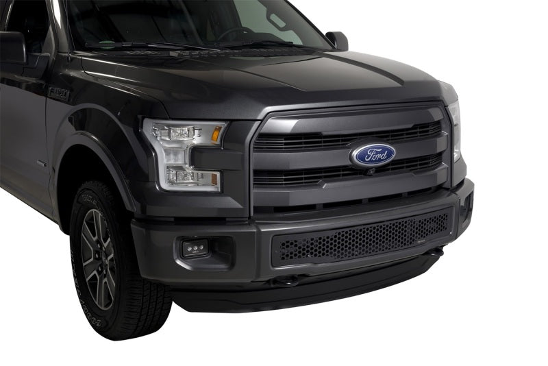 PutcoPutco 15 - 17 Ford F - 150 - Stainless Steel Black Punch Design Bumper Grille Inserts